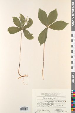 KPABG013388