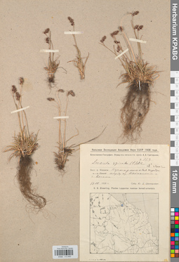 KPABG012693