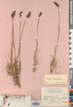KPABG012705