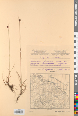 KPABG012805