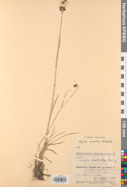 KPABG012809