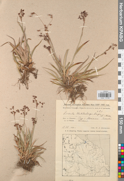 KPABG012885