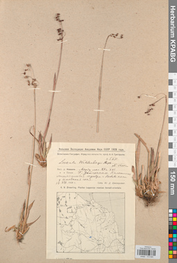 KPABG012905