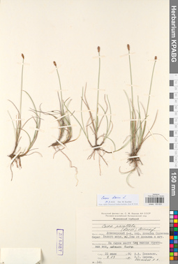 KPABG003620