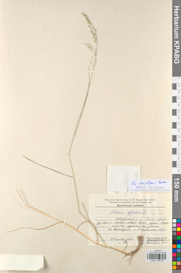 KPABG008210