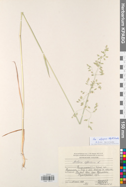KPABG008211