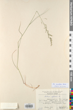 KPABG008266
