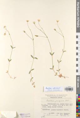 KPABG021783