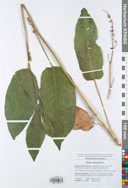 KPABG048501