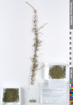 KPABG048522