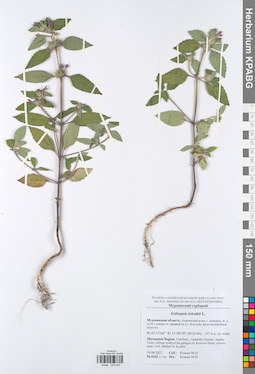 KPABG048540