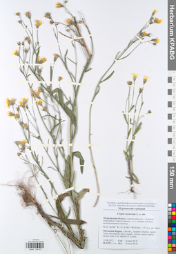 KPABG048547