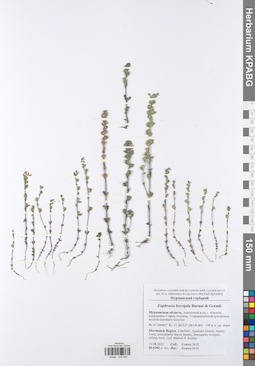 KPABG048583