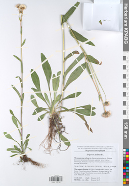 KPABG048821