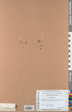 KPABG048843