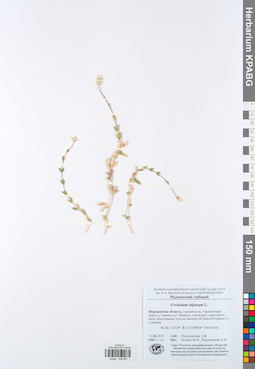 KPABG048881