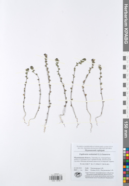 KPABG048887