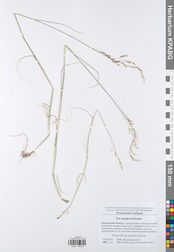 KPABG049024