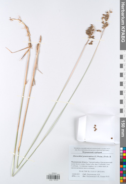 KPABG049025
