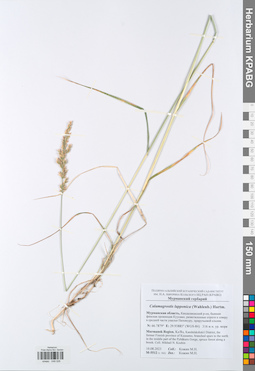 KPABG049026