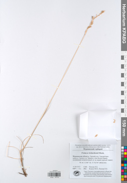 KPABG049053