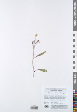 KPABG049059