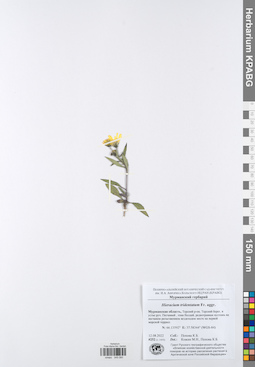 KPABG049060