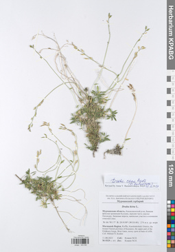 KPABG049090