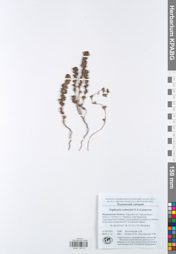 KPABG049137