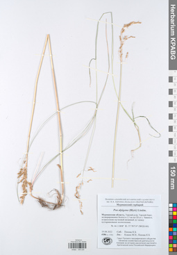 KPABG049229