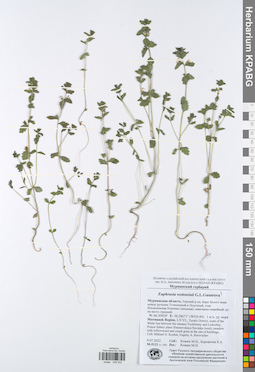 KPABG049252