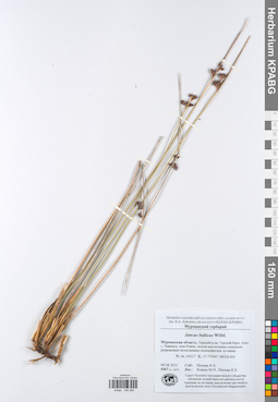KPABG049268