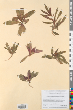 KPABG004905