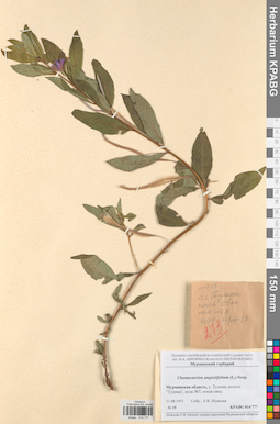 KPABG014777