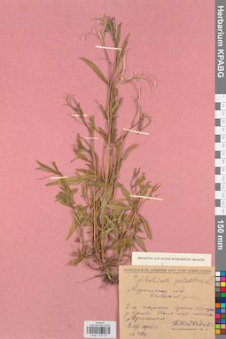 KPABG032313