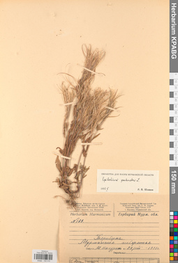 KPABG032315