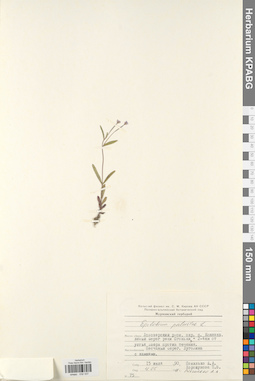 KPABG032337
