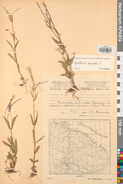 KPABG032352