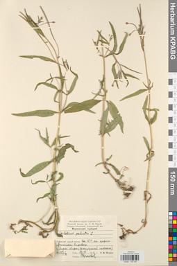 KPABG032362