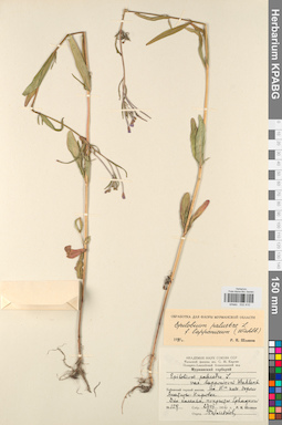 KPABG032410