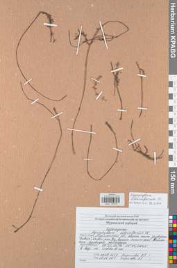 KPABG032510