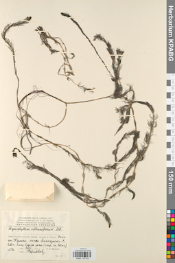 KPABG032552