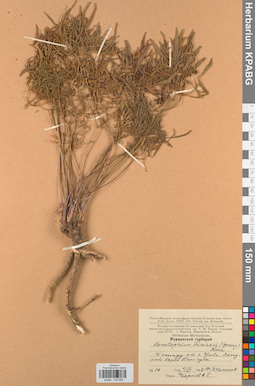 KPABG033088