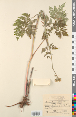KPABG033100