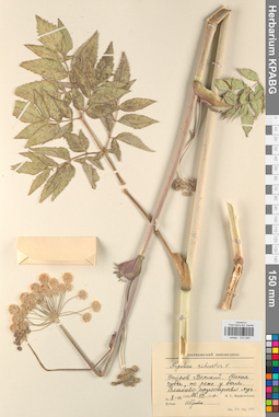 KPABG033280