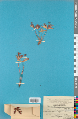 KPABG033388