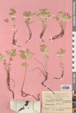 KPABG033402