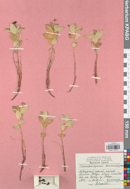 KPABG033491