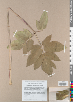 KPABG043632