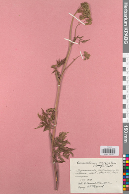 KPABG044993